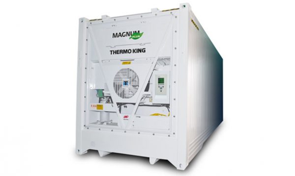 thermo king magnum plus